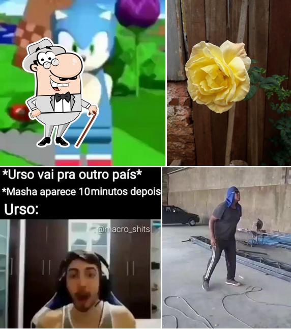 Pizzaria Pizzarella Forno a Lenha