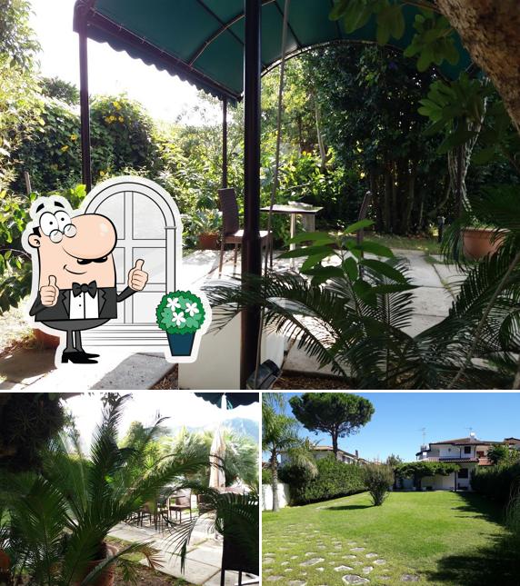 Guarda gli esterni di Il Giardino del Pane
