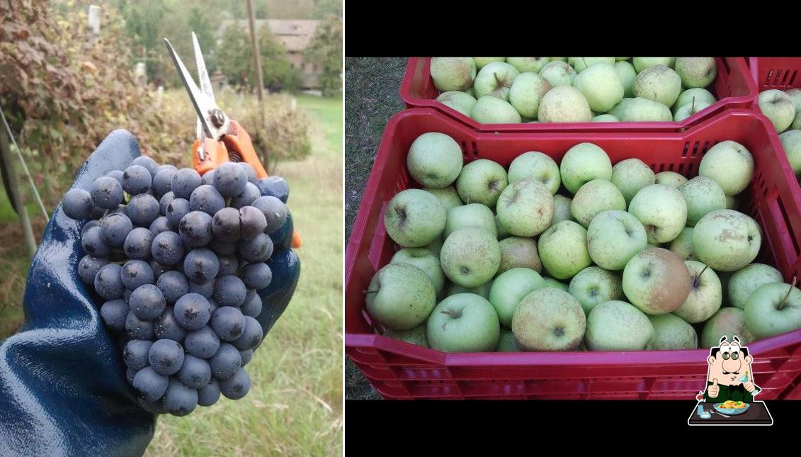 Cibo al Ca' Giberti - sidro di mele e sidro di pere - degustazioni