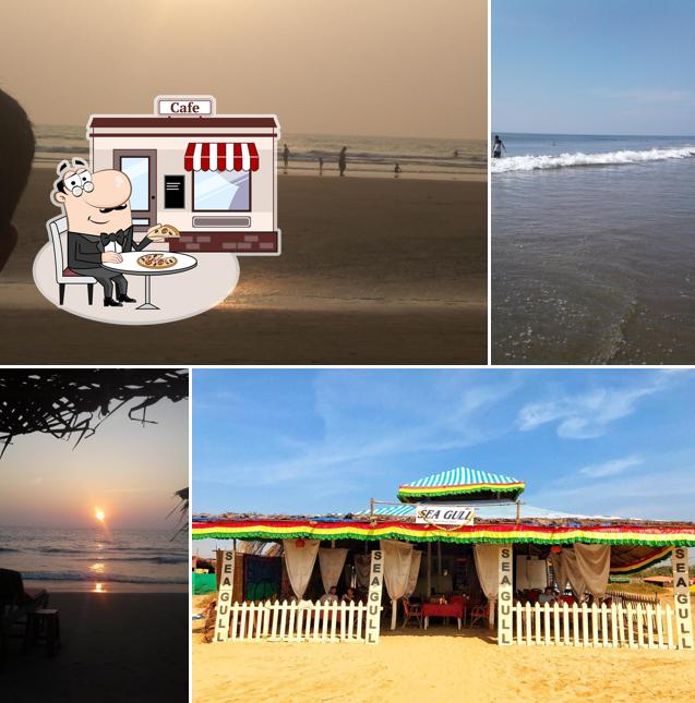 Check out how Sea Gull Beach Shack looks outside