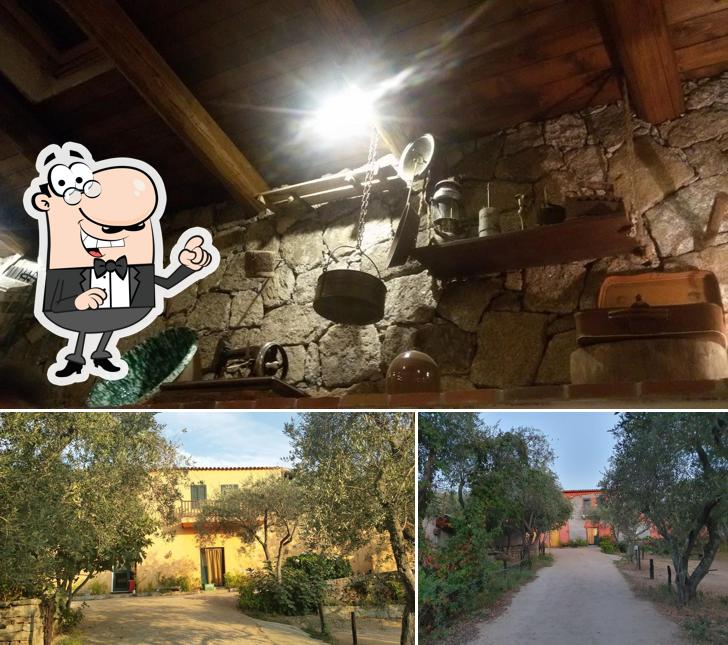Gli esterni di Lu Branu