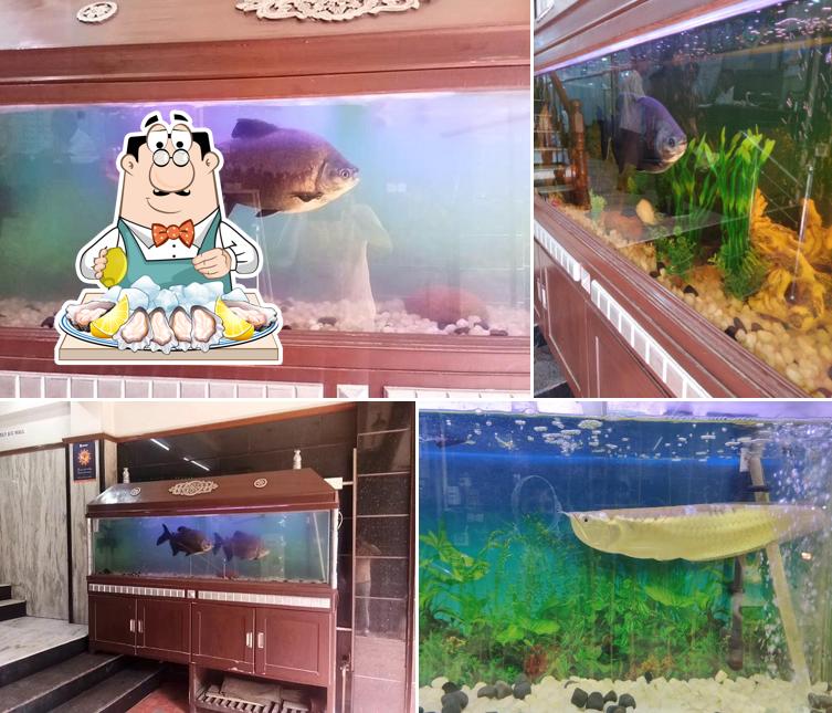 Order seafood at Kasi Vilas Non veg restaurant