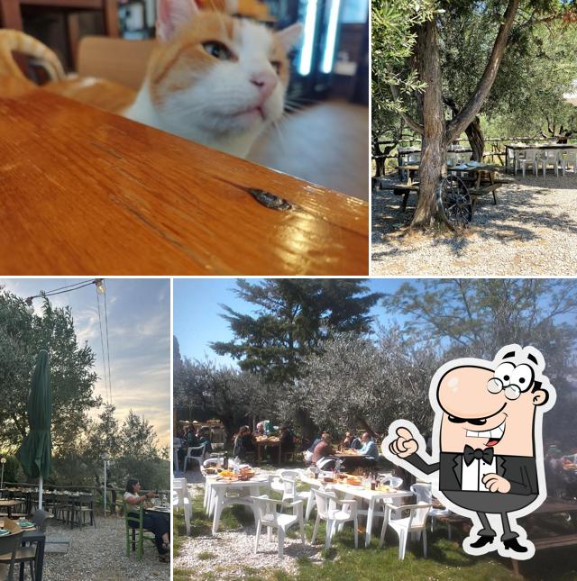 Siediti a un tavolo di Botteghina di Morello