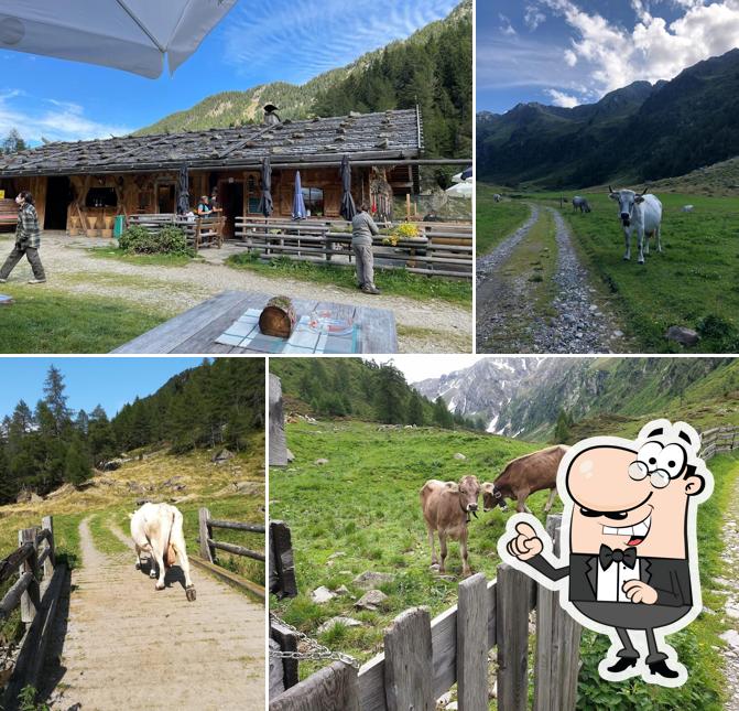 Curiosa tra gli esterni di Bergalm