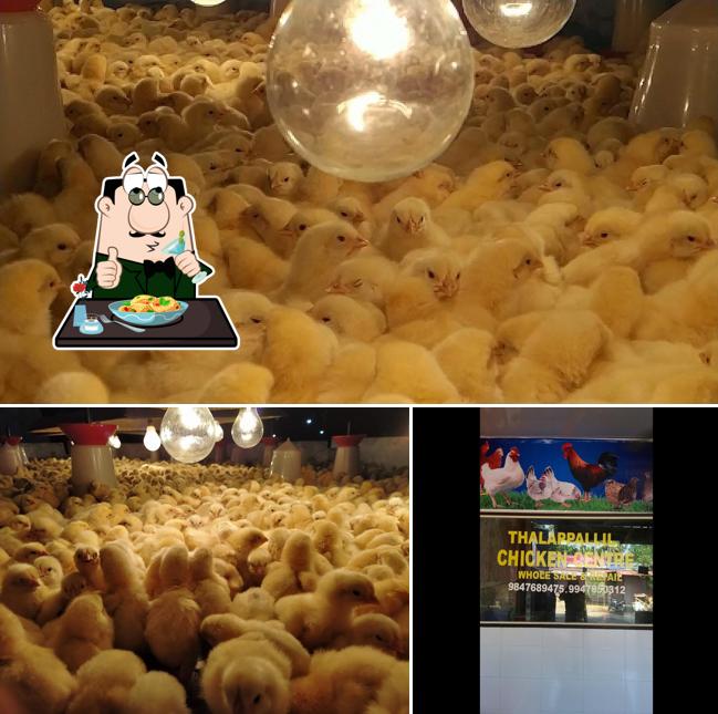 Thalappallil chicken centre