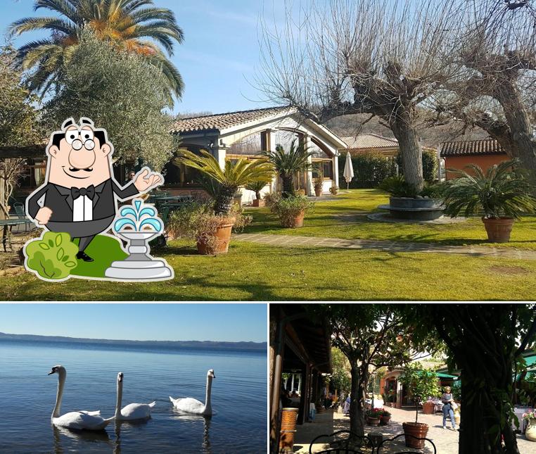 Guarda gli esterni di Acquarella