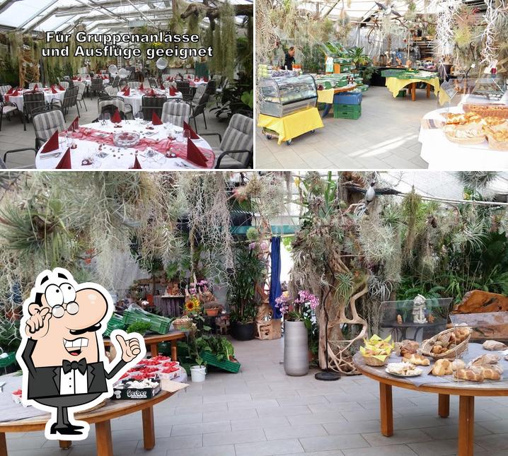 Gli interni di R A Orchid GmbH