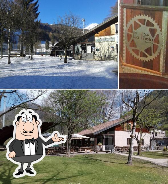 Gli interni di Pineta Bar & Grill