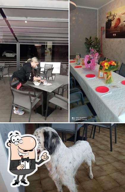 Siediti a un tavolo di Bar Viola