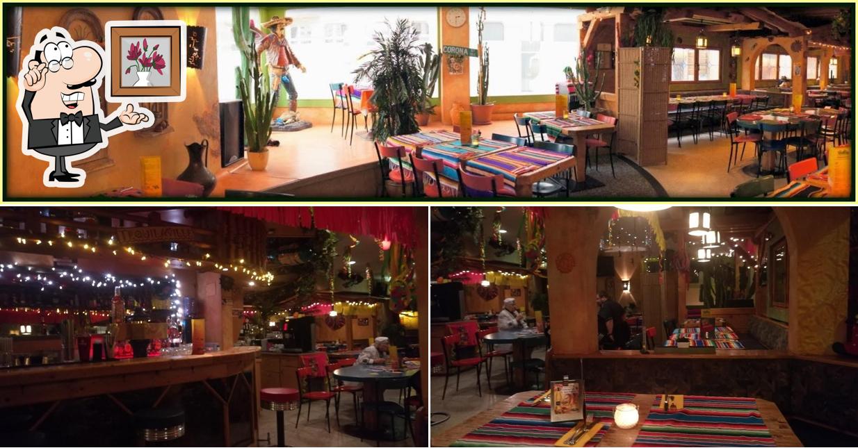 Dai un'occhiata agli interni di Crazy Cactus