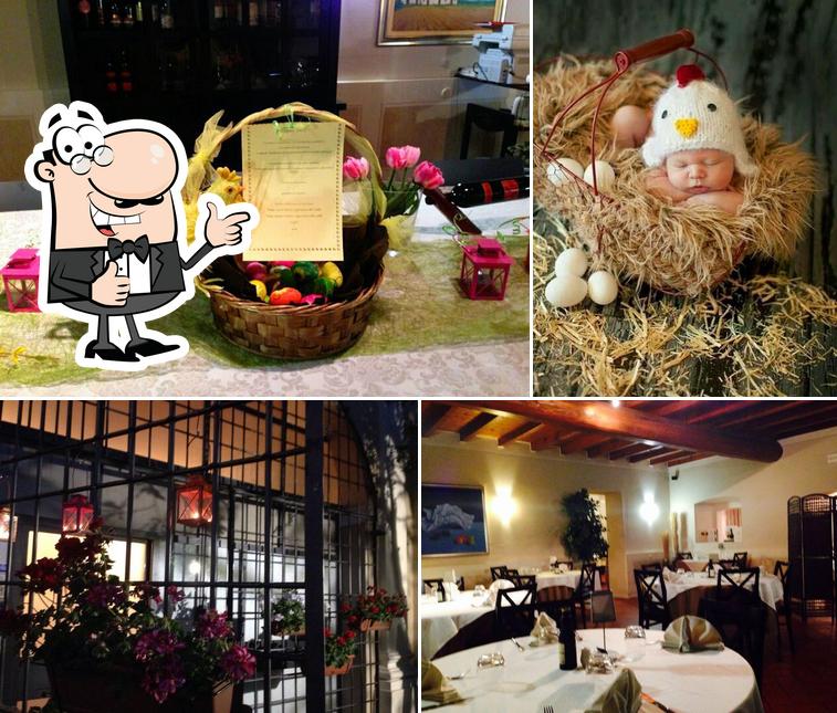 Ristotante Napoleone >FQ Fenil Questini