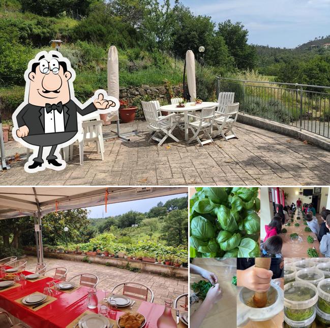 Dai un'occhiata agli interni di Valdolivo