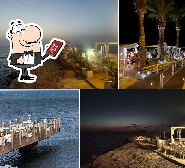 Le 5 Palme la nuova gestione - Restaurant & Lounge Bar