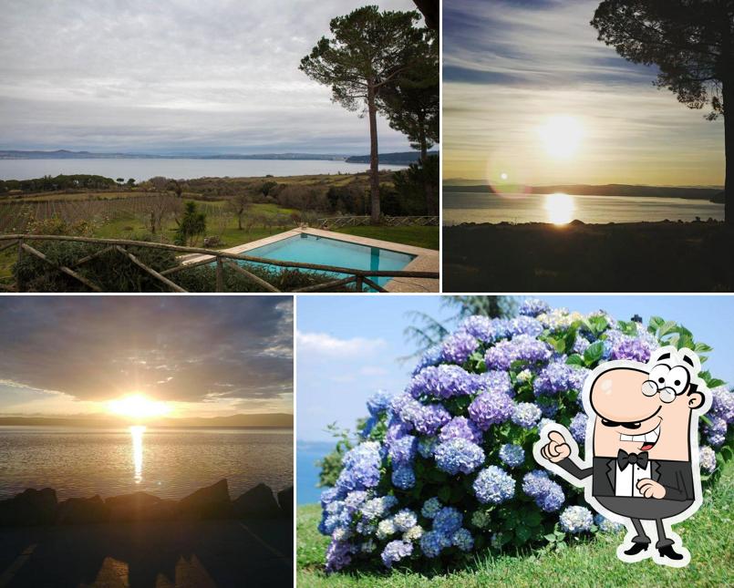 Goditi la vista dall'area esterna di Tra Lago e Cielo