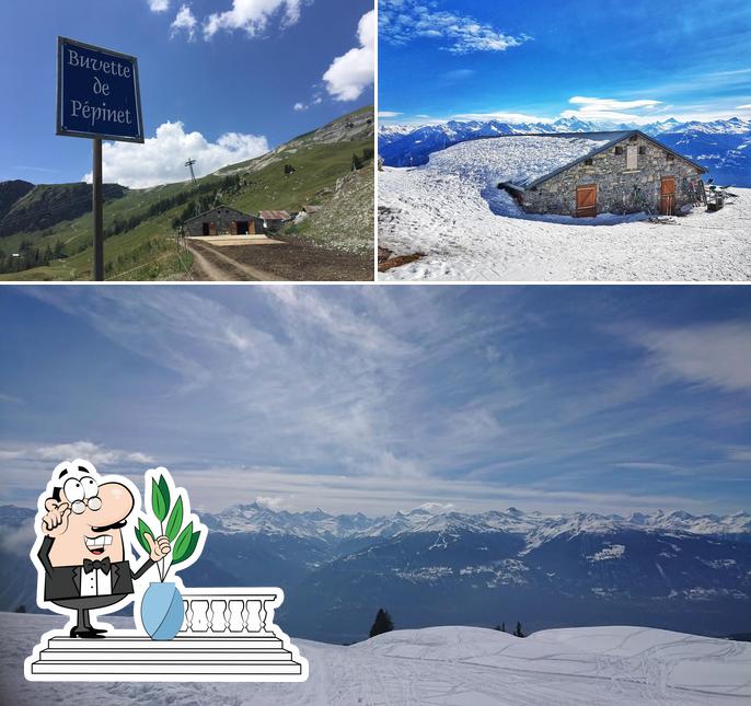 Guarda gli esterni di Buvette de Pépinet
