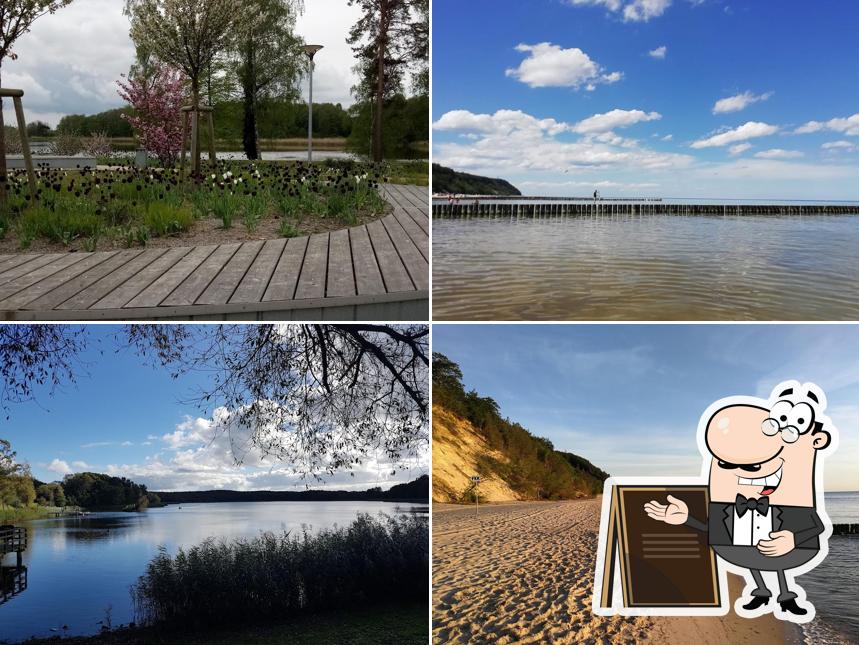 Stranddistel Kölpinsee
