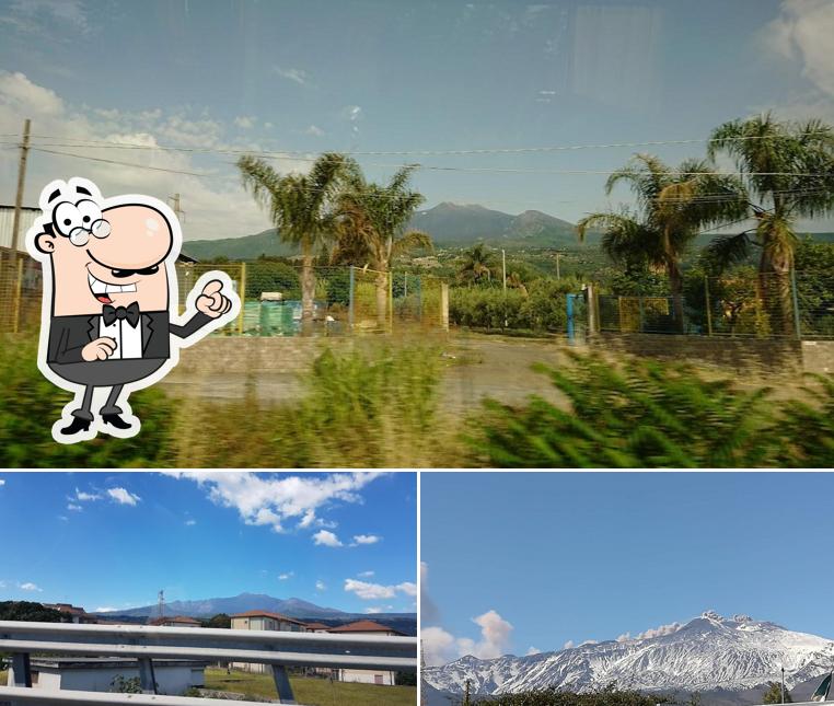 Curiosa tra gli esterni di Parco Chico Mendes