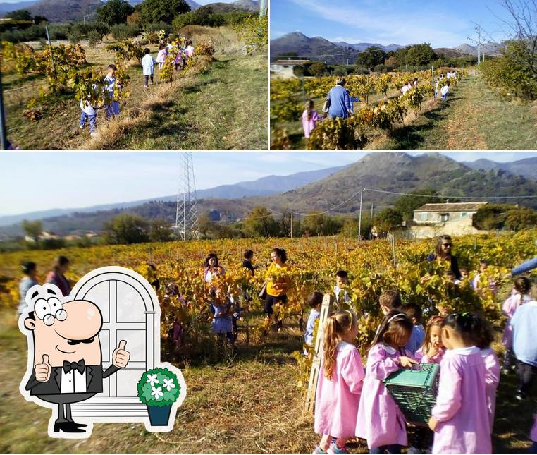 Gli esterni di Agriturismo Petrosa