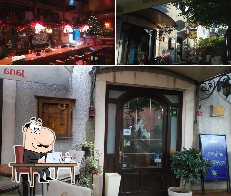 Gli interni di Caffe Bar Falcon