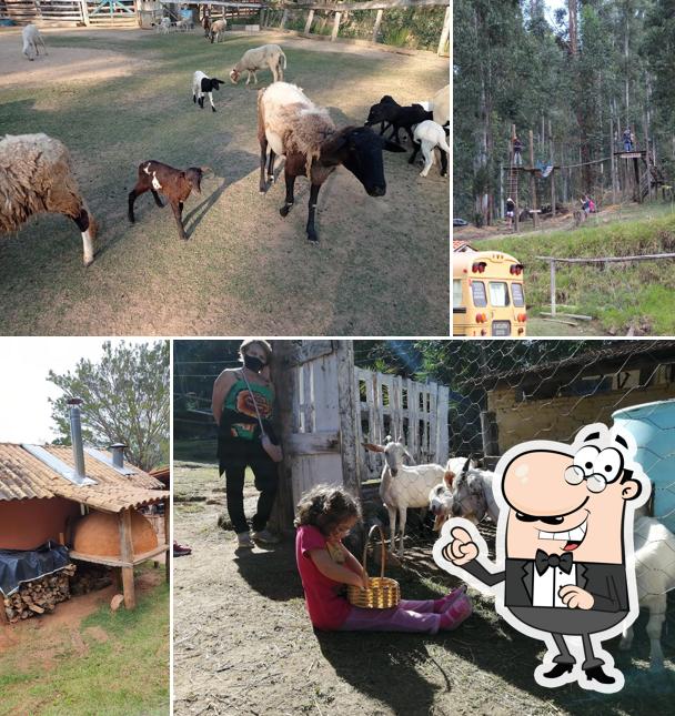 Você pode espairecer no exterior Fazenda Floresta