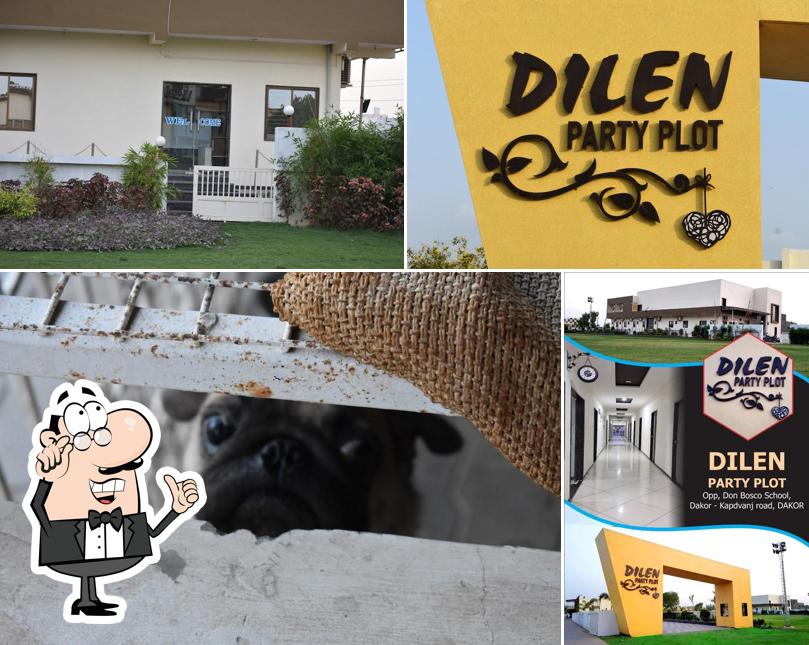Check out how Dilen Partyplot looks inside