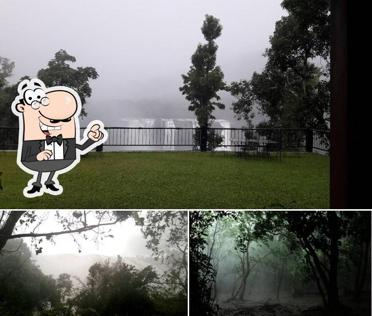 The outside area is an important feature of Rainforest