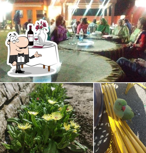 Here's a pic of City Food