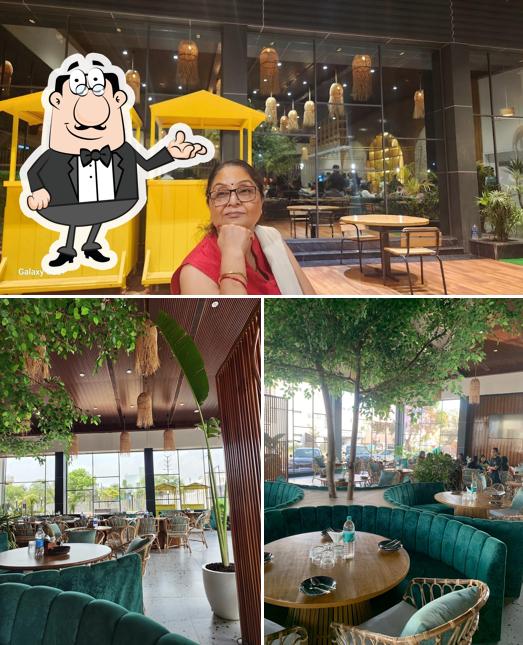 Check out how Mantar Restaurant - Bhopal looks inside