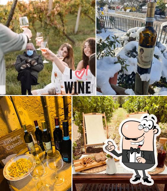 Gli esterni di Fattorie Ciabrelli