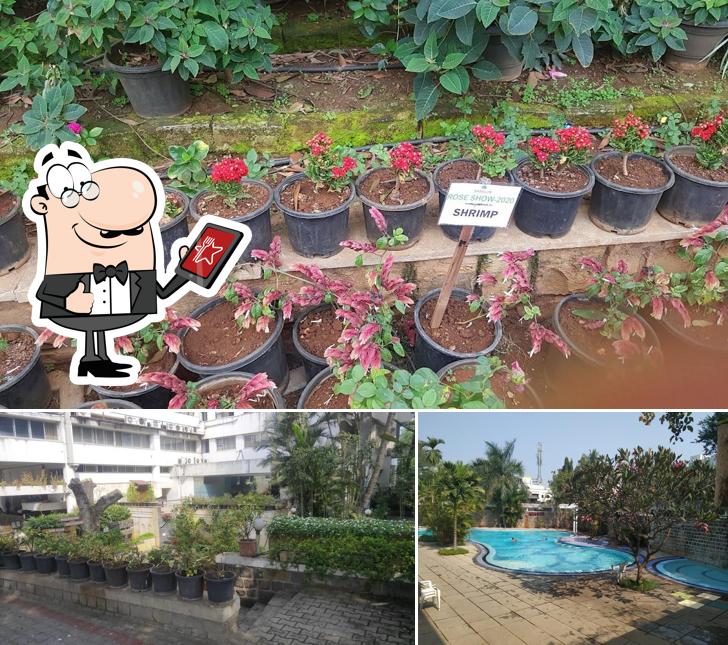Check out the outside area of Nandinee Woodlands, Nasiklub