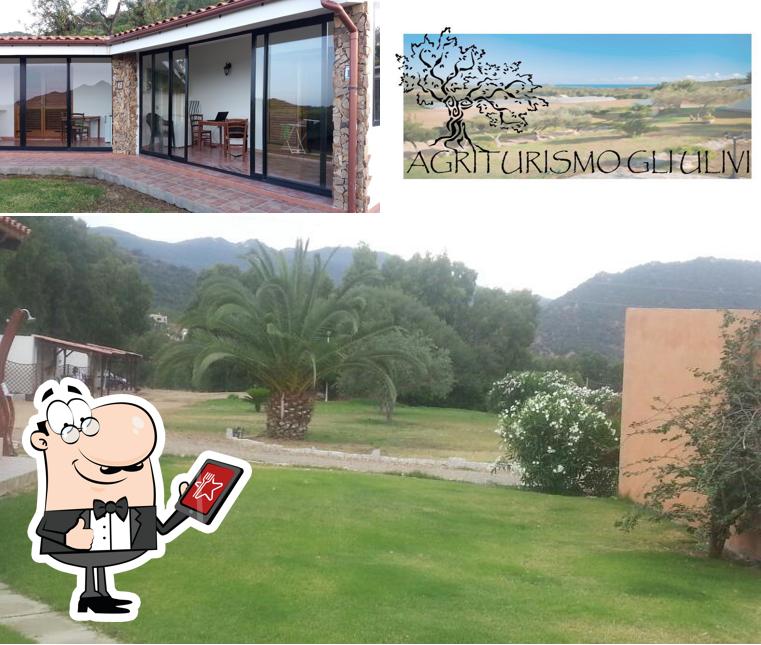 Questa è la foto che raffigura la esterno e interni di Agriturismo Gli Ulivi