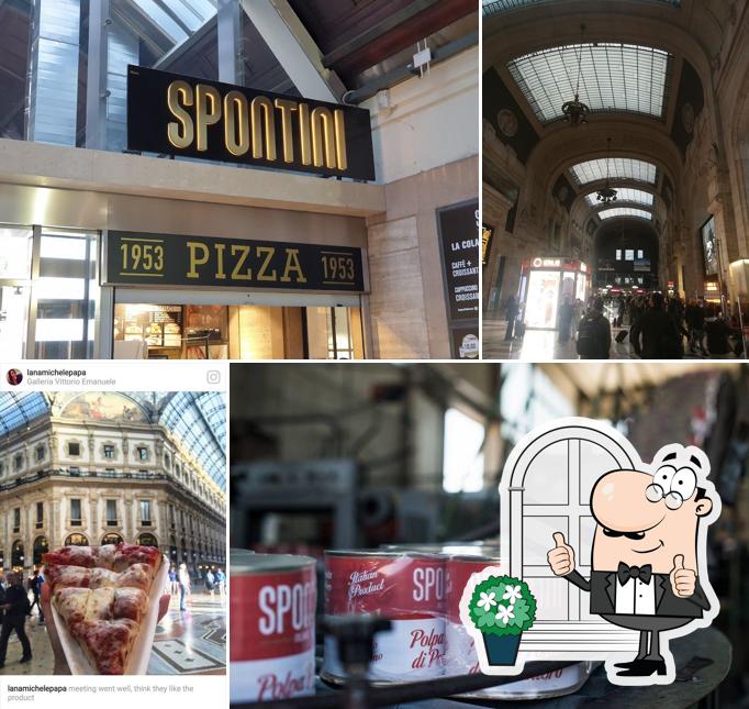 Guarda gli esterni di Spontini