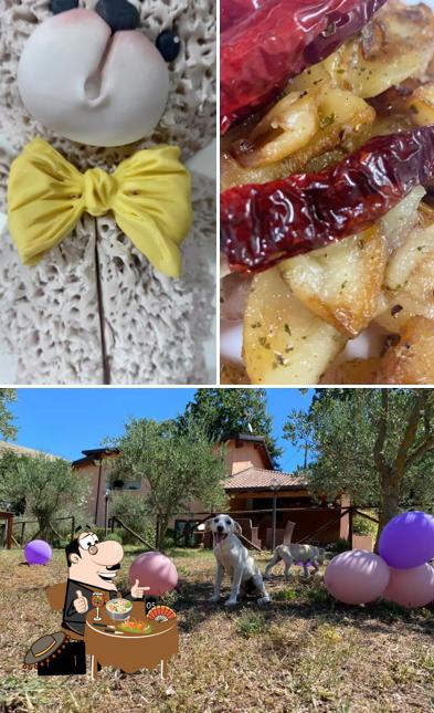 La immagine di cibo e esterno da Agriturismo L'Ulivo