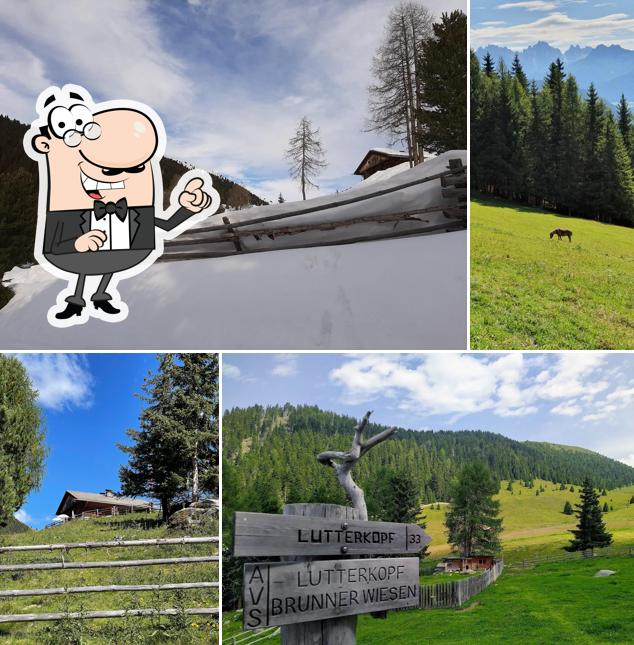Malga di Tesido