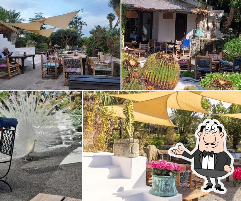 Cactus Lounge Cafe&Restaurant