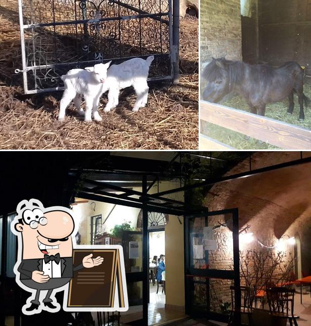 Gli esterni di Agriturismo la foce del trebbia aperto su prenotazione