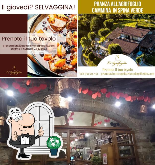 Guarda gli esterni di L'Agrifoglio