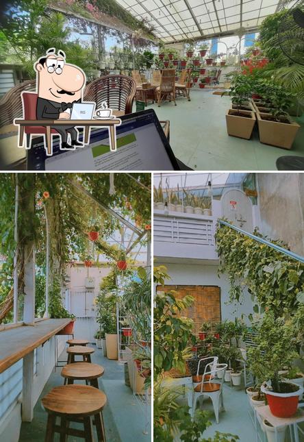 The interior of The Greenhouse Cafe