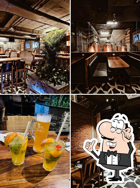 Check out how Hops n Grains Kitchen & Brewery looks inside