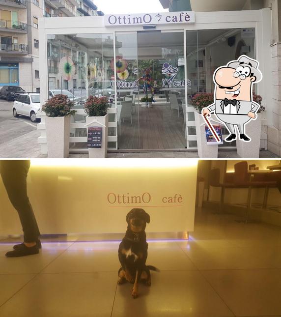 Guarda gli esterni di OttimO Cafè