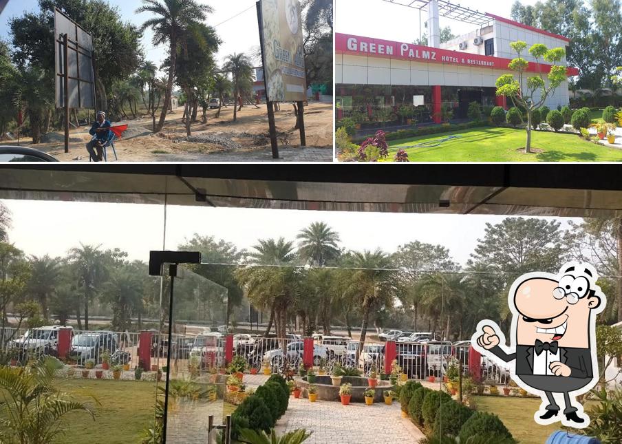 The exterior of New Green Palmz