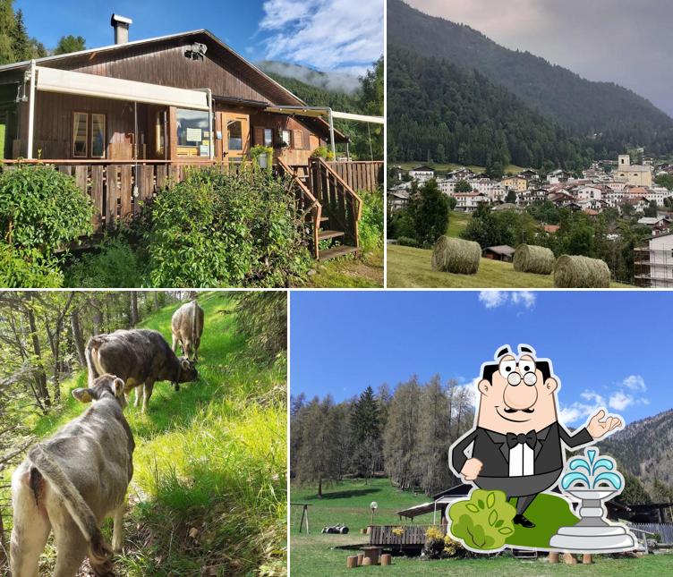 Agriturismo La Pausa