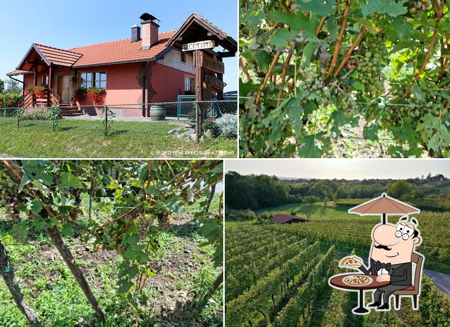 Vinska kuća Kašner