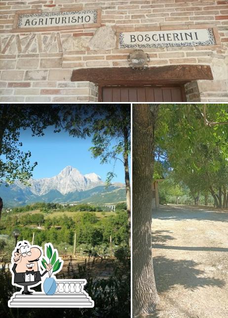Gli esterni di Agriturismo "Fattoria Boscherini"