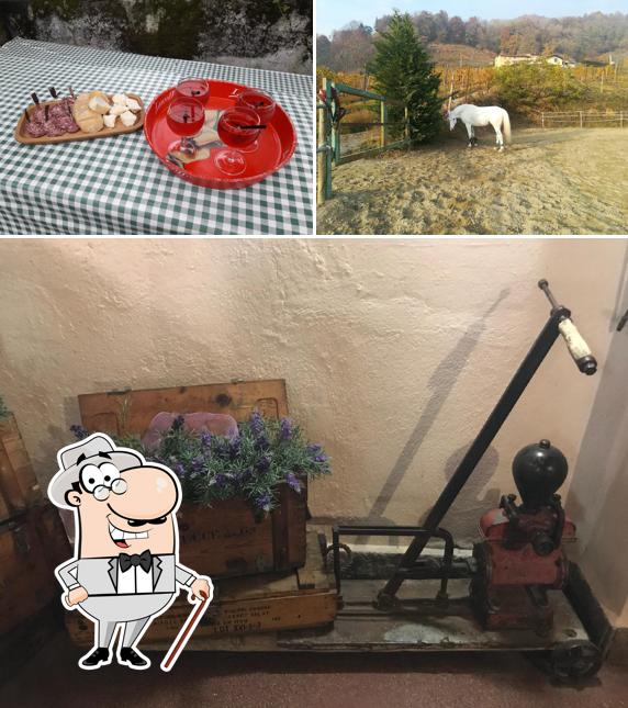 Guarda gli esterni di Agriturismo Tambor Giuliano Rota