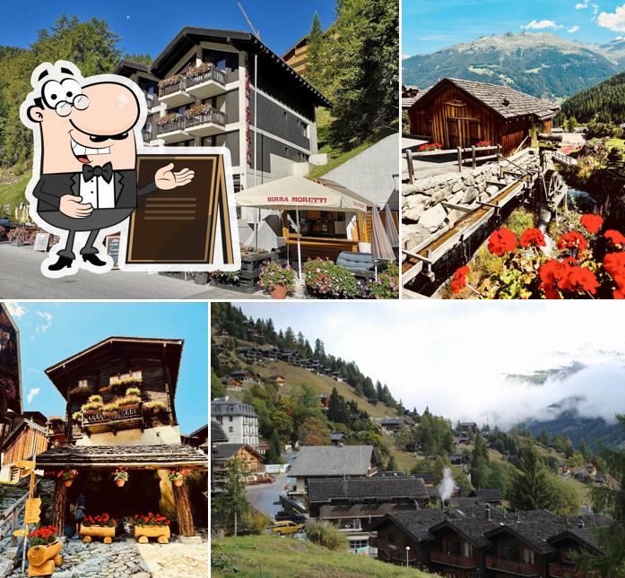 Curiosa tra gli esterni di Cristal Hôtel Grimentz SA