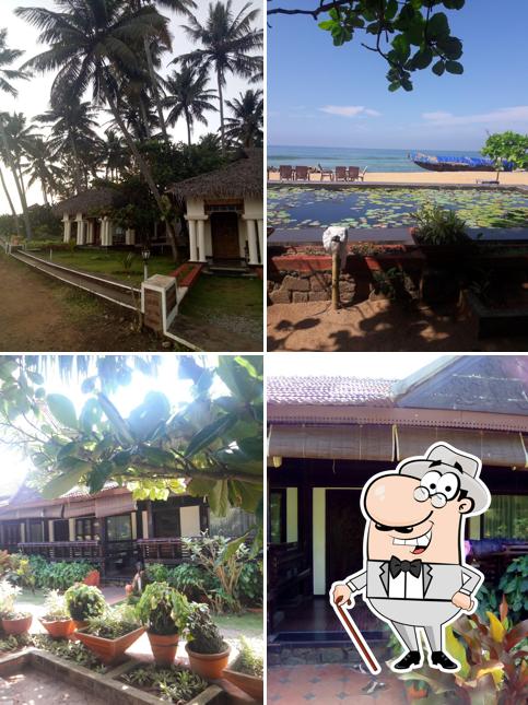 Enjoy the view outside Palm Tree organization
