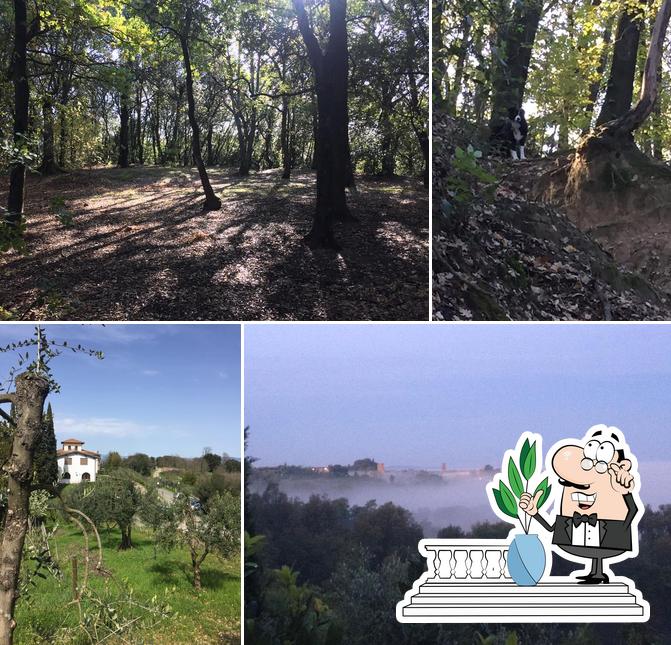 Agriturismo Montalto