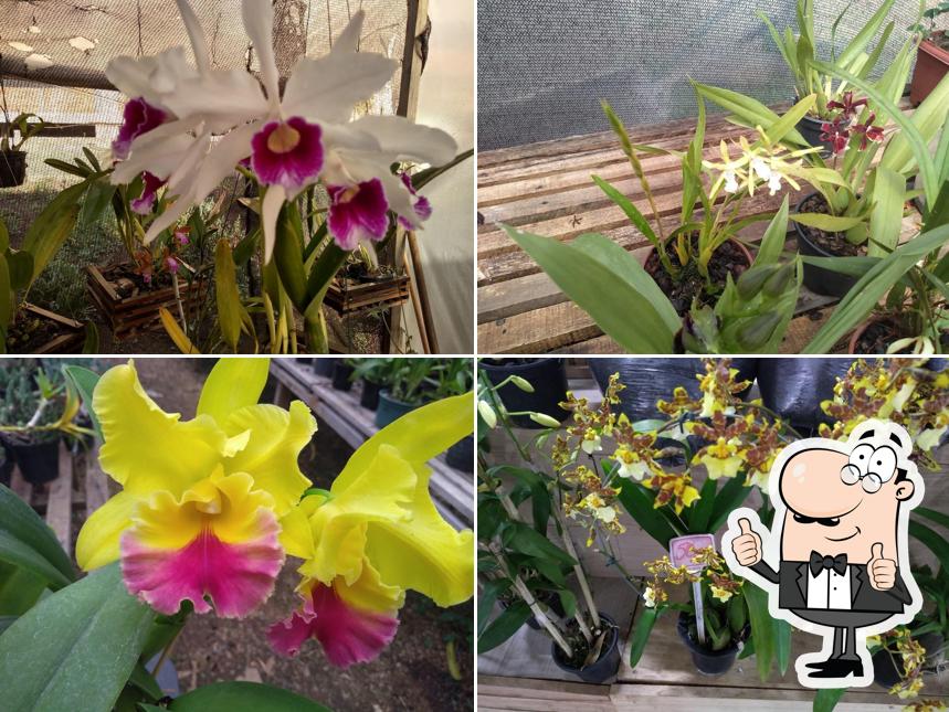 Feira de Produtos Coloniais e Agroecológicos