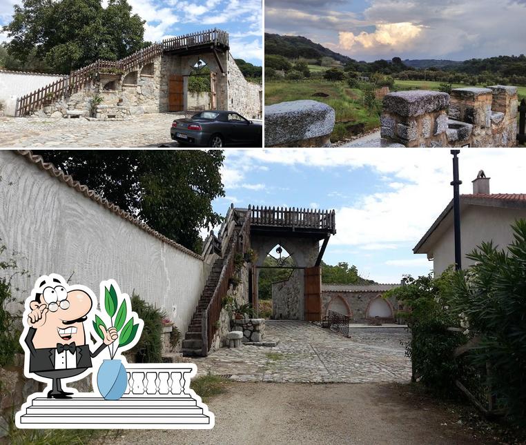 Curiosa tra l'area esterna di Agriturismo Seminaroti